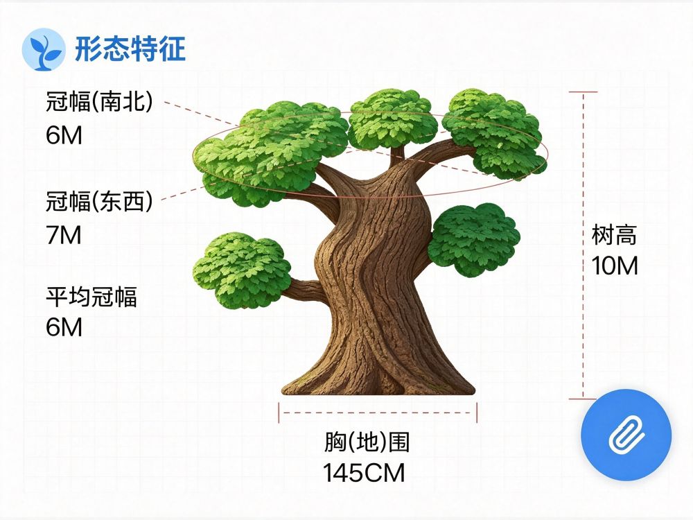 大理某县古树名木管理系统 6