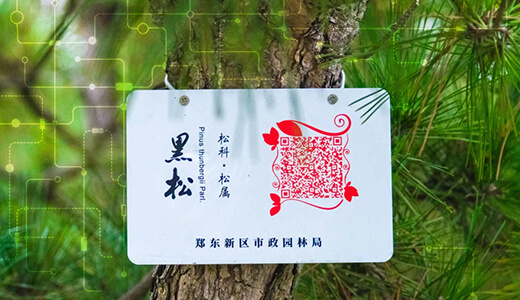 南京寻木智能科技有限公司