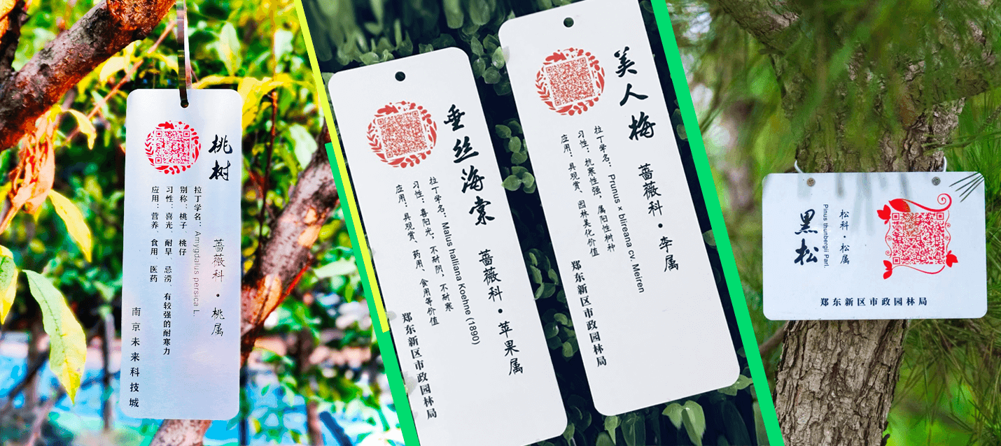 南京寻木智能科技有限公司