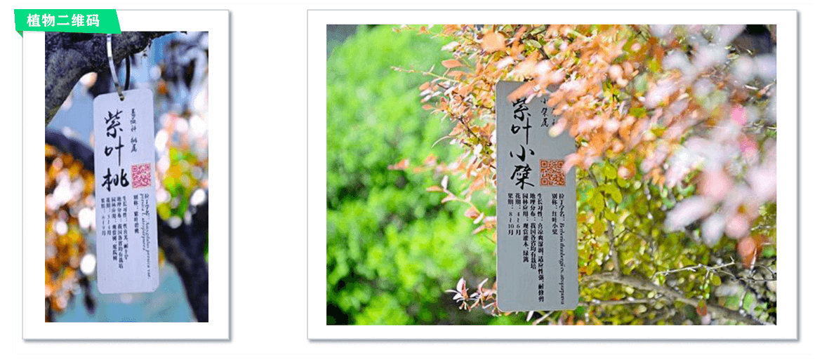 南京寻木智能科技有限公司
