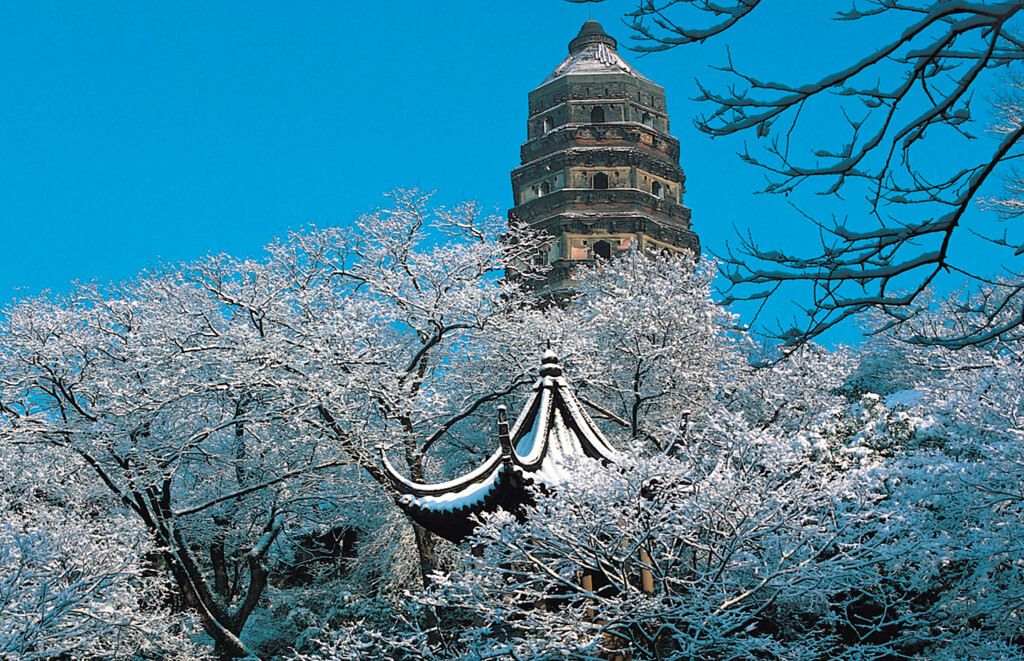 南京寻木智能科技有限公司